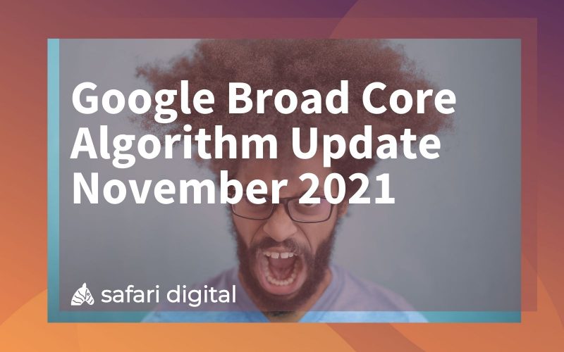 Google Broad Core Algorithm Update November 2021 Safari Digital