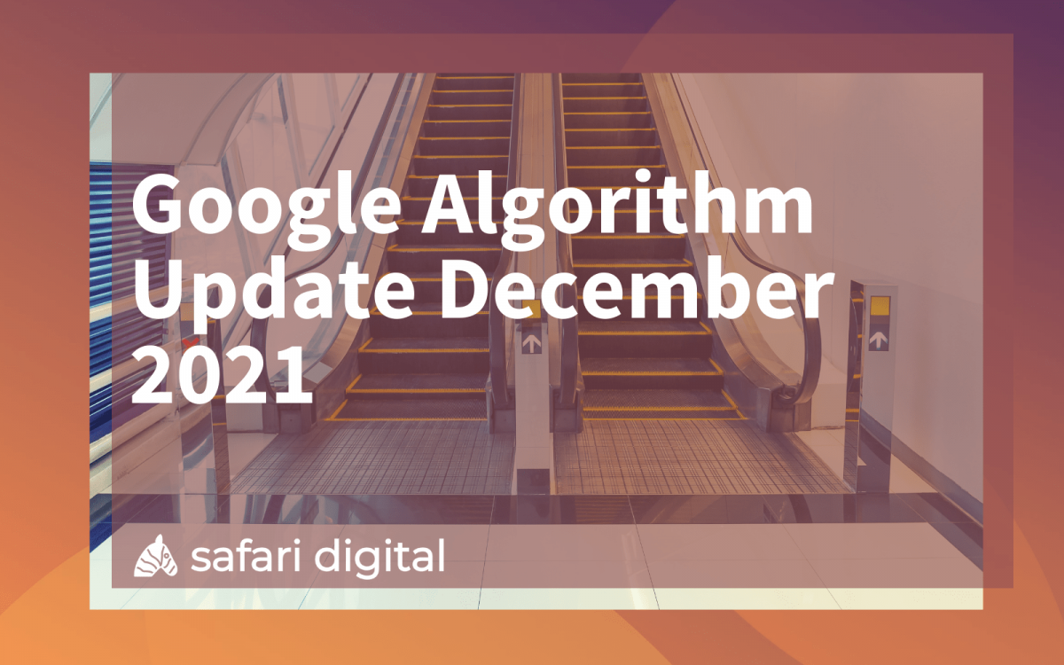 Google Algorithm Update December 2021 Safari Digital