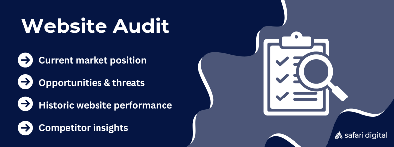 Initial Website Audit Infographic